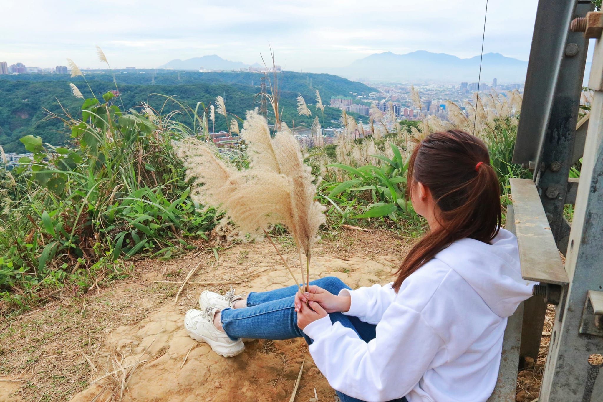 氣候舒適宜人，徐徐微風吹拂，更讓人心曠神怡 #樹林 #三角埔頂山 #芒花 正盛開，一起來來欣賞滿山遍野的芒花吧