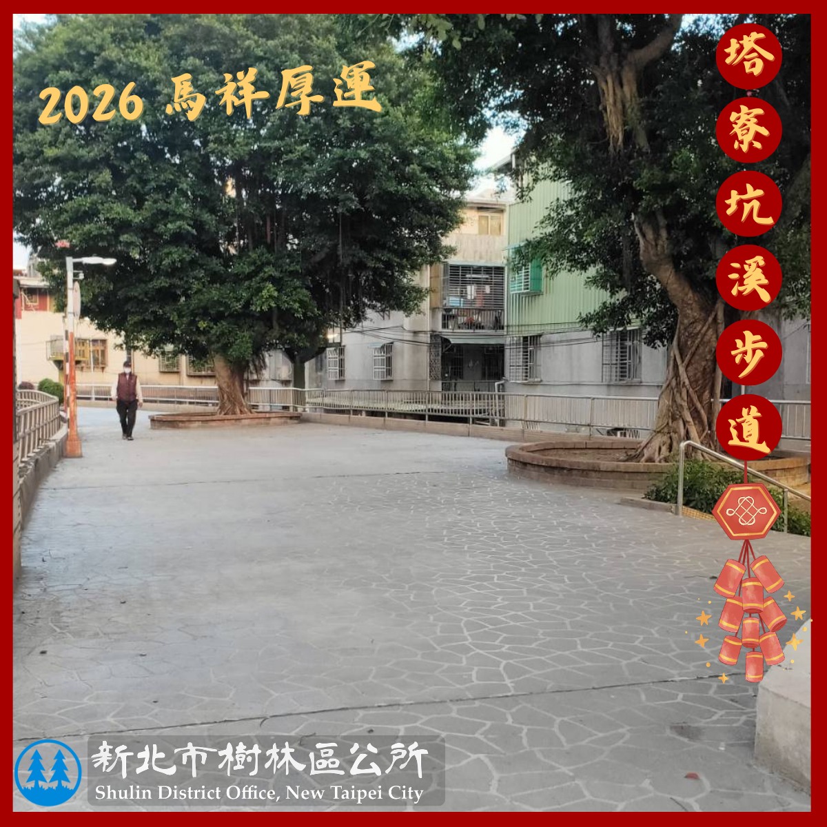 新北 樹林 走春-5